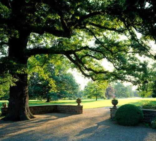 Parc