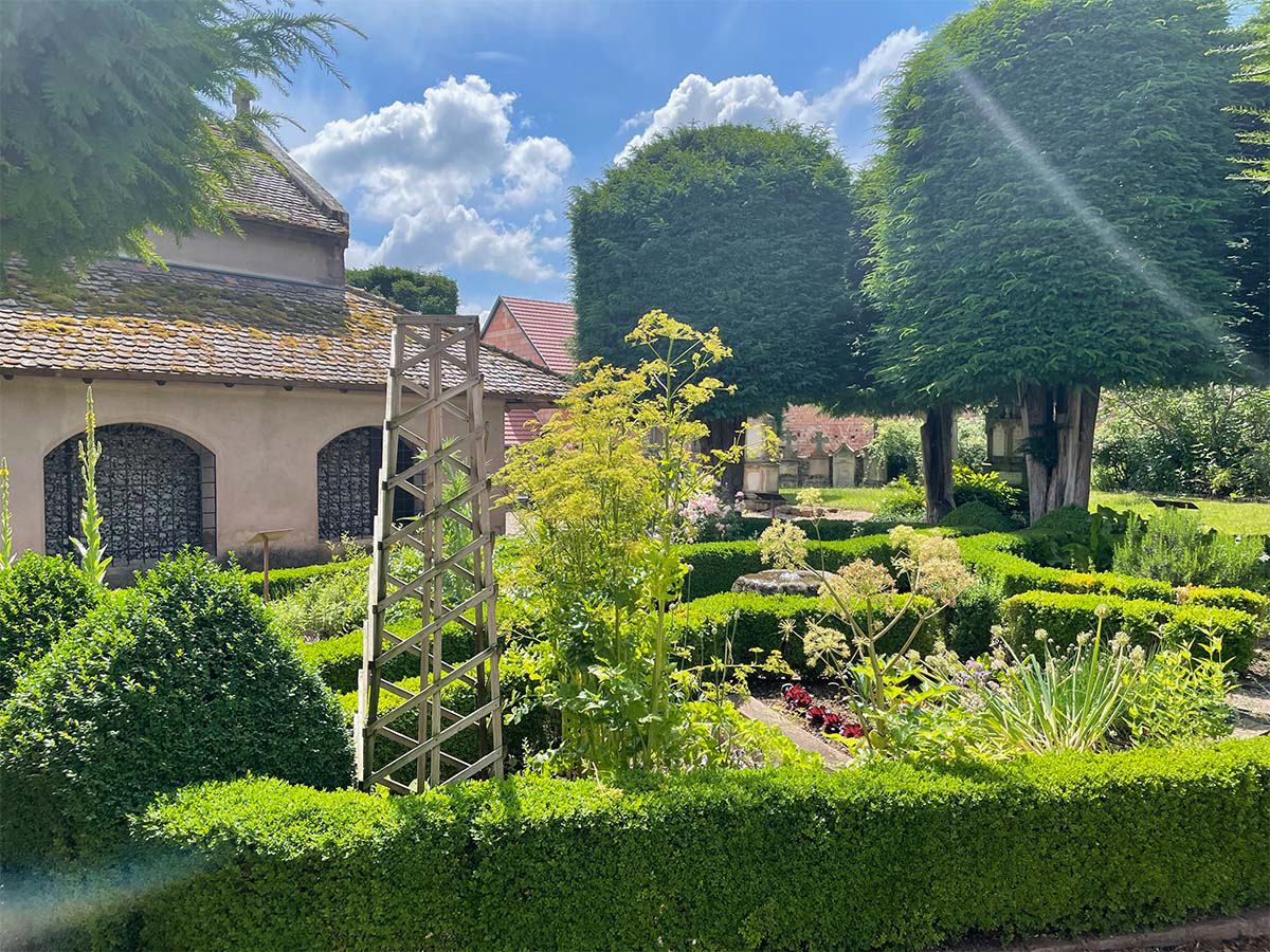 jardin