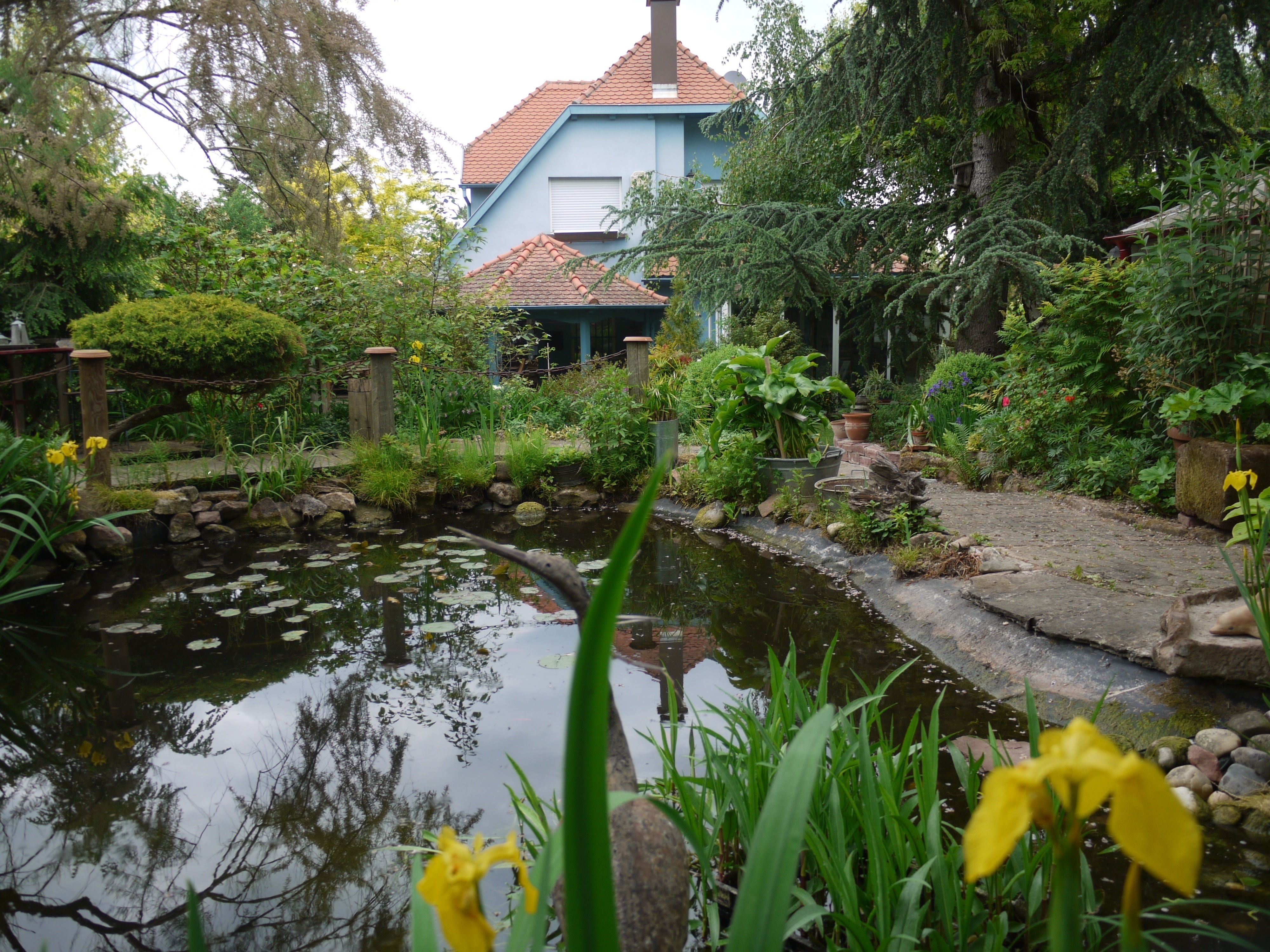Jardin