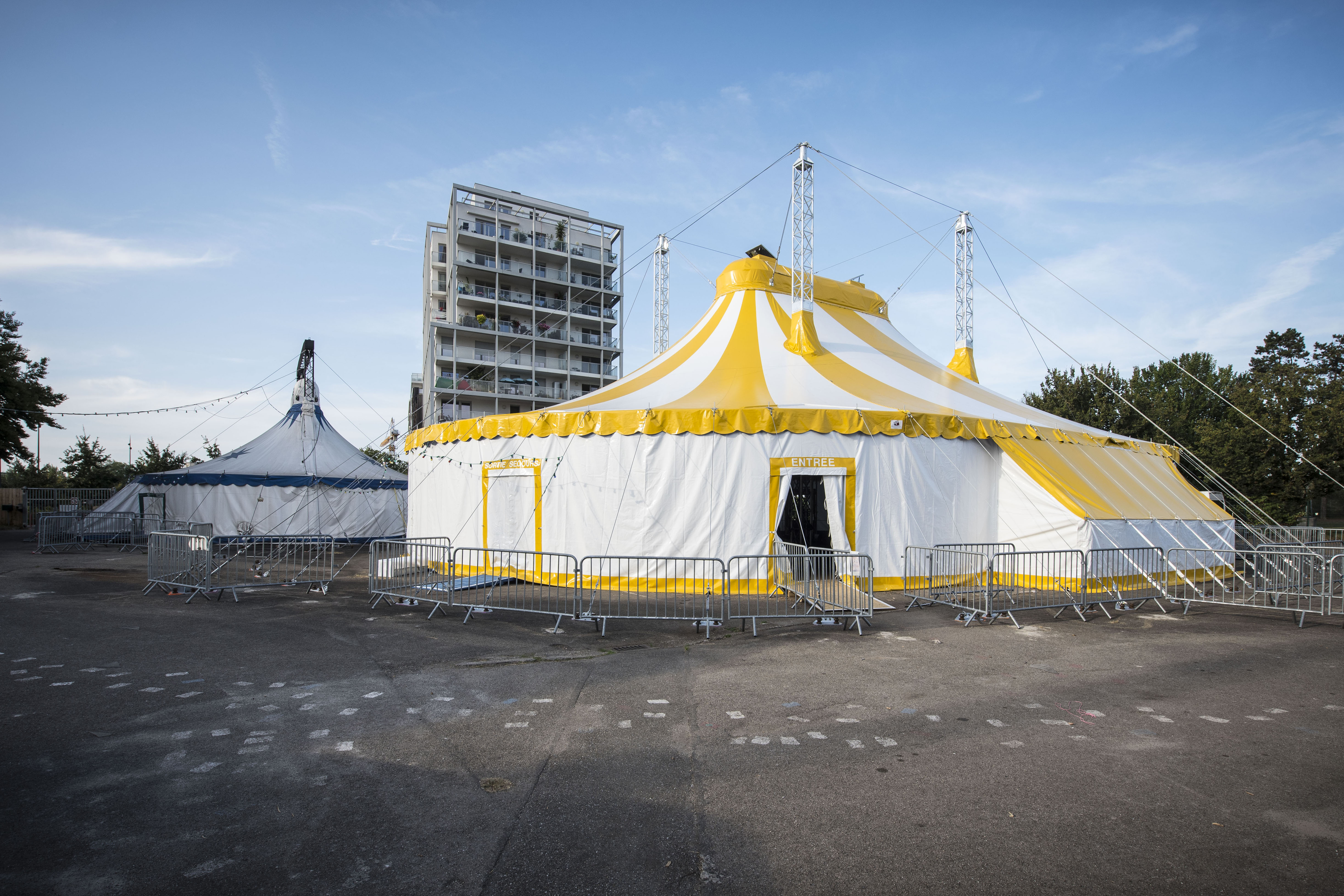 Graine de cirque
