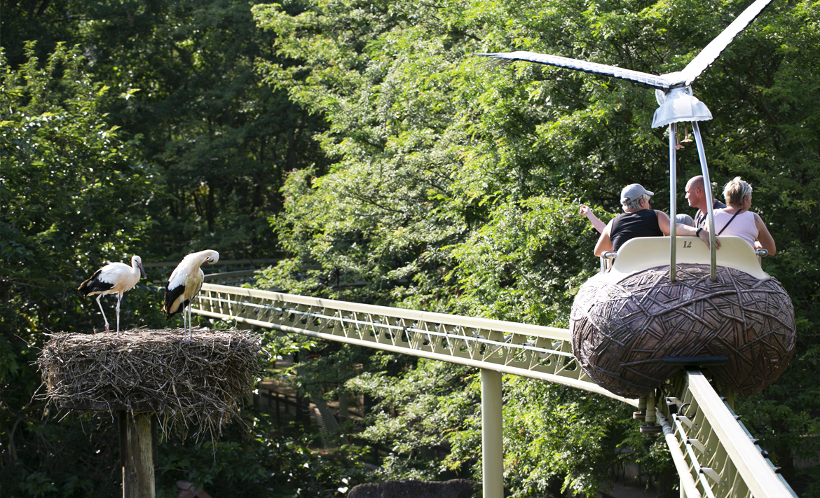 Parc d'attractions