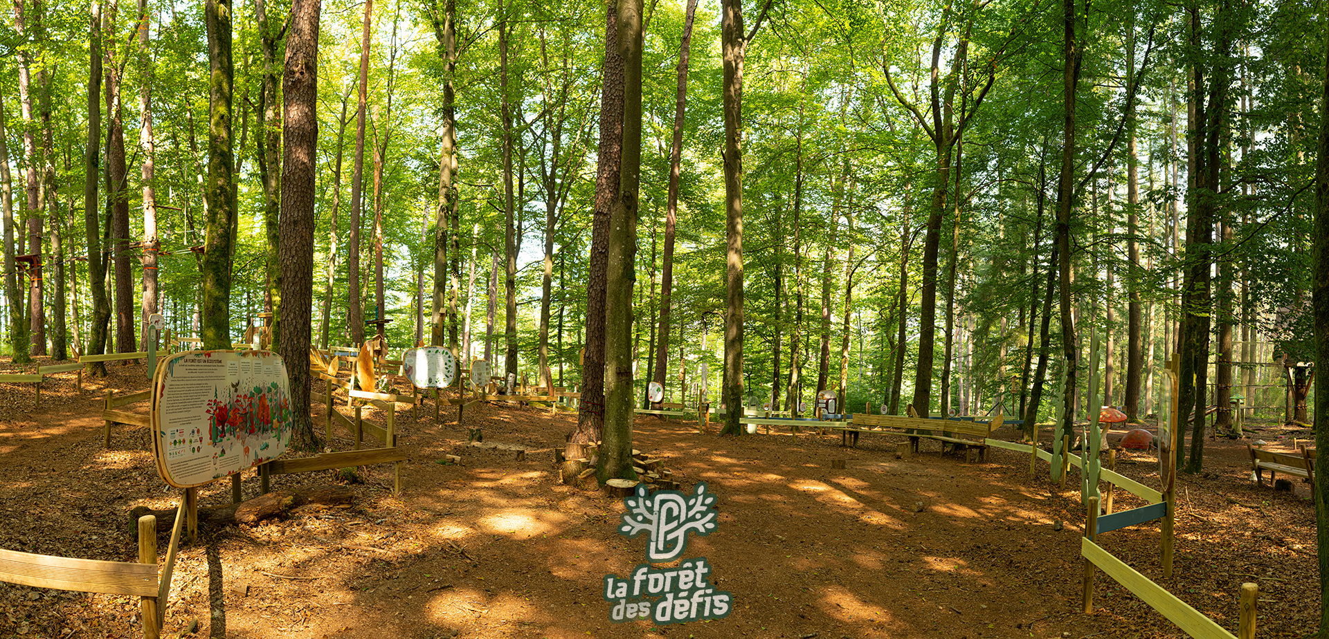 la forêt des défis
