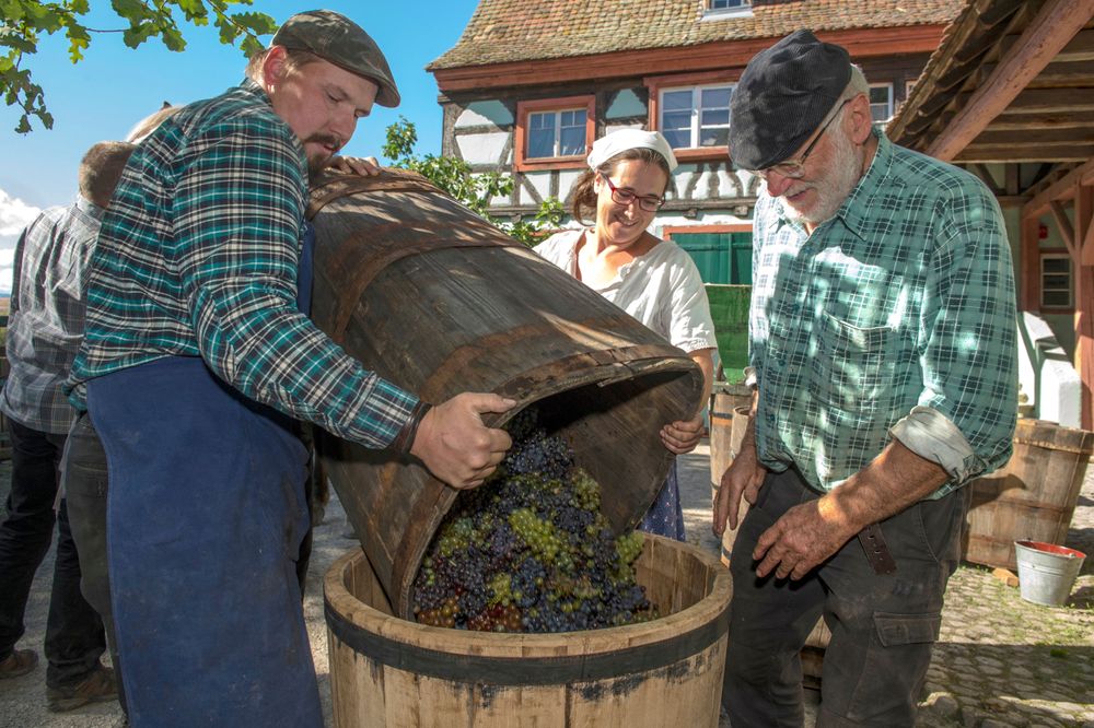 la maison du vigneron