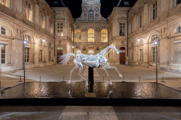 Cheval JO Paris Strasbourg