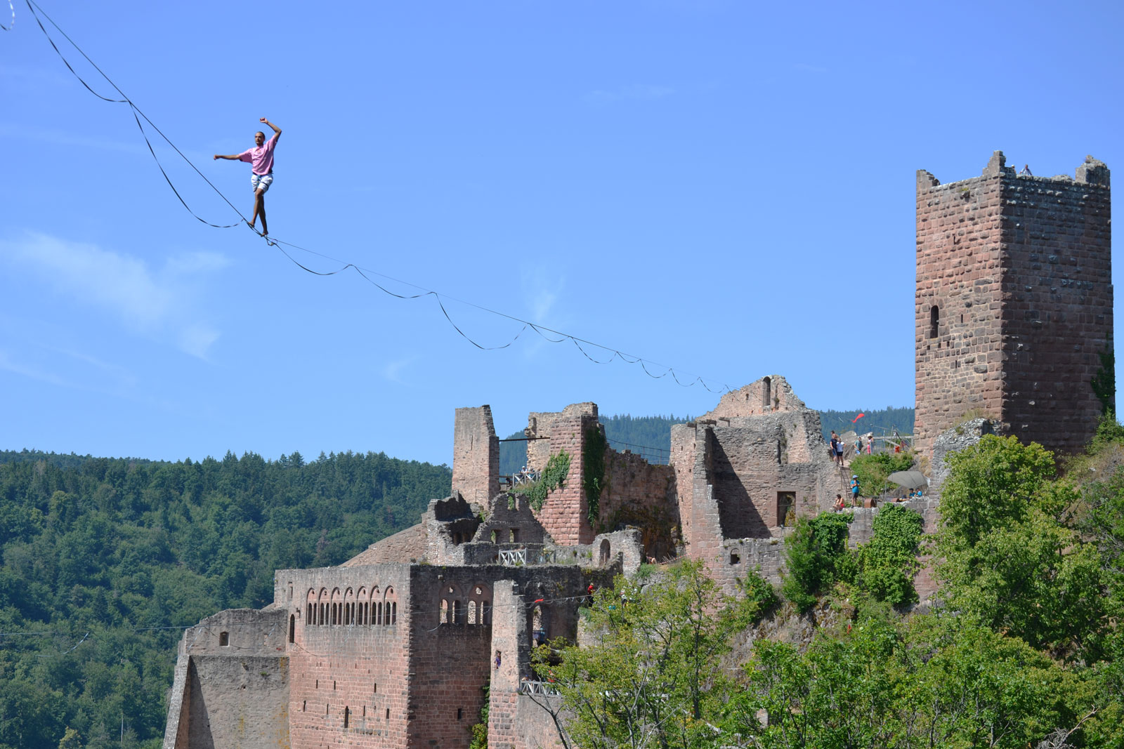 Coupe highline Ribeauvillé