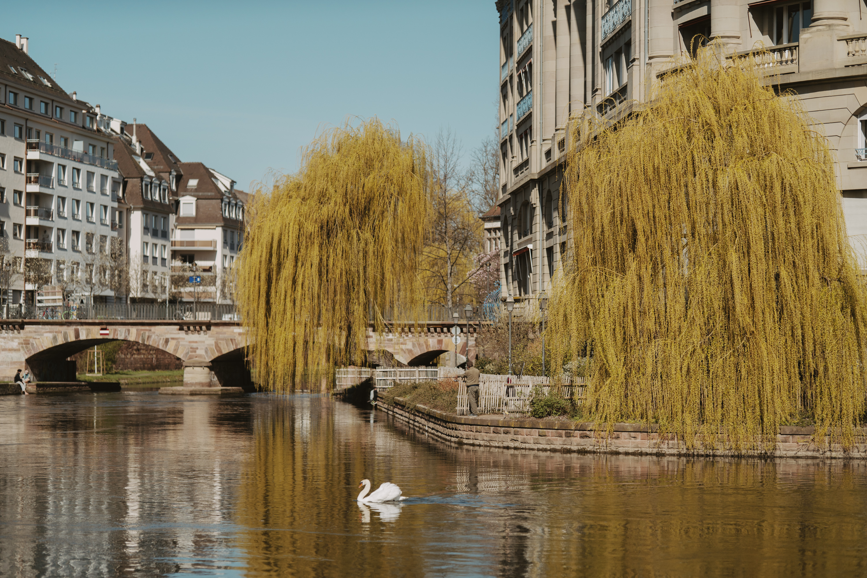 Lieux pour lire à Strasbourg