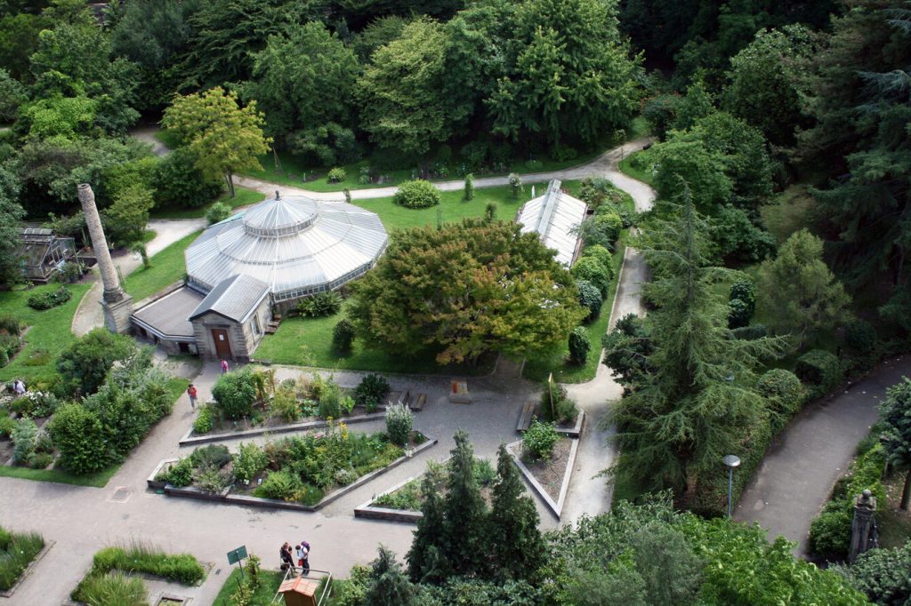 Lieux pour lire à Strasbourg