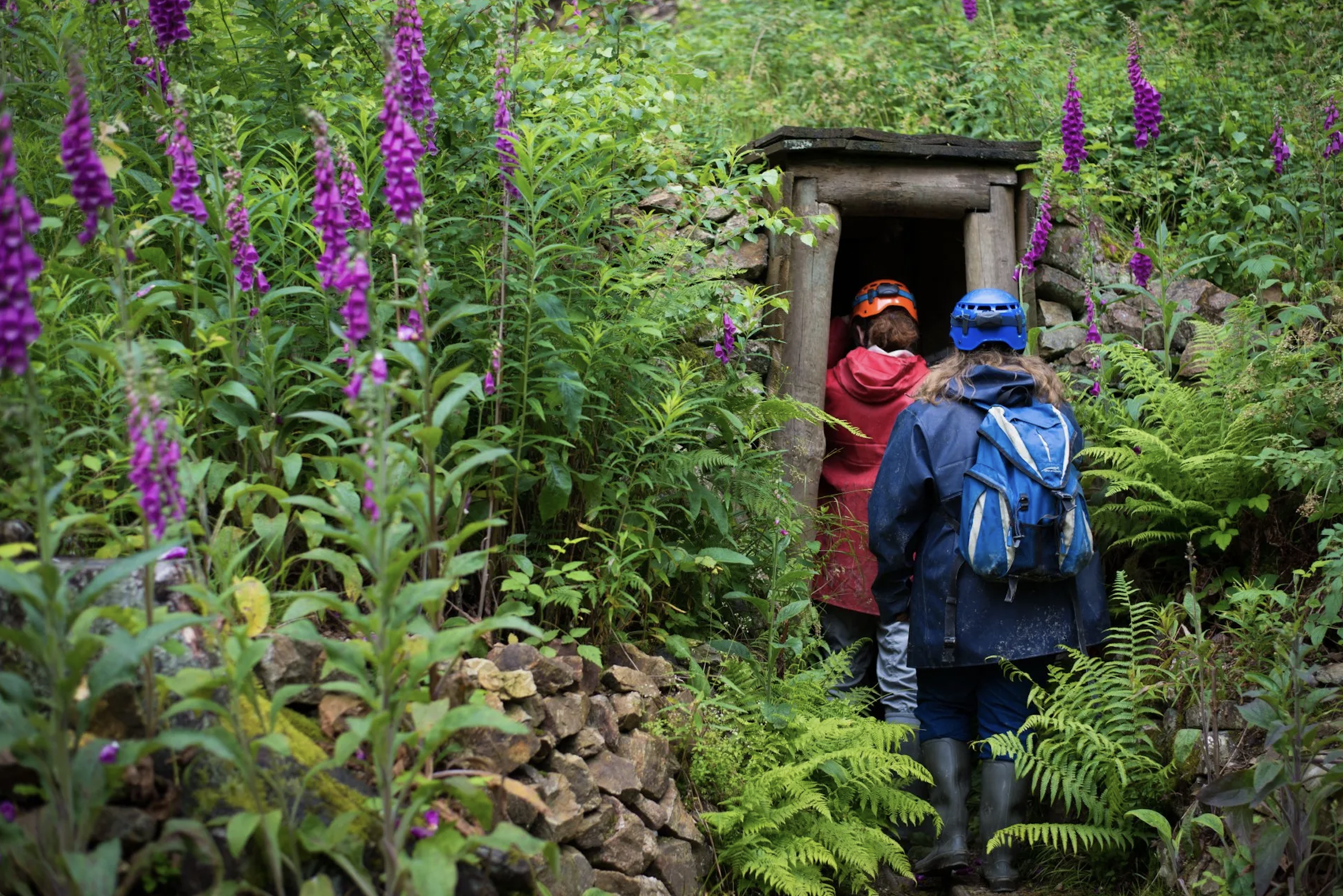 Vacances scolaires en Alsace