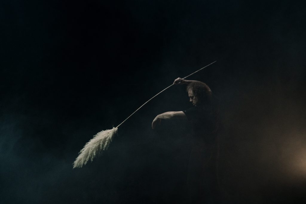 Quinzaine danse