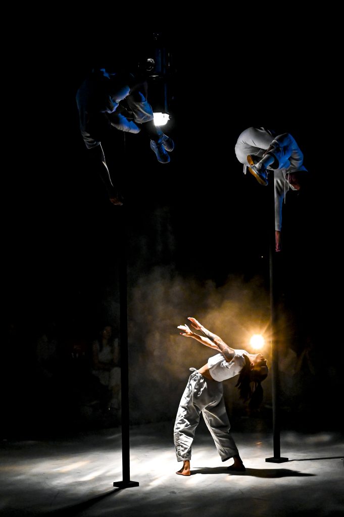 Curieux Festival