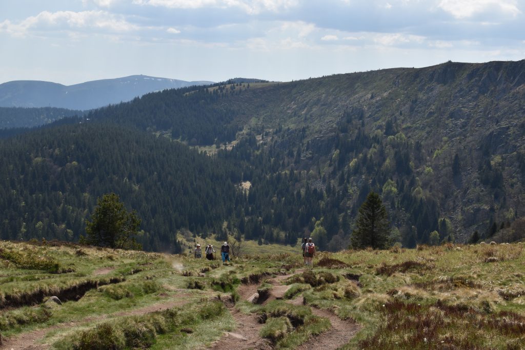 Randonnée des 3 lacs pour redécouvrir l'Alsace hors saison