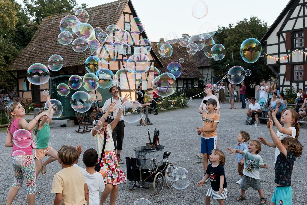 Eco musée alsace été