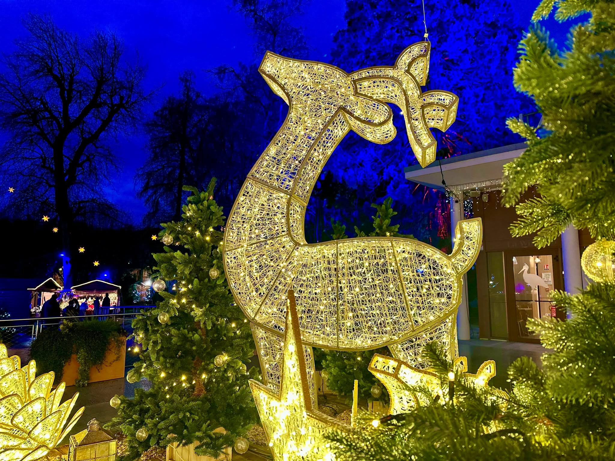 Marché de Noël Niederbronn